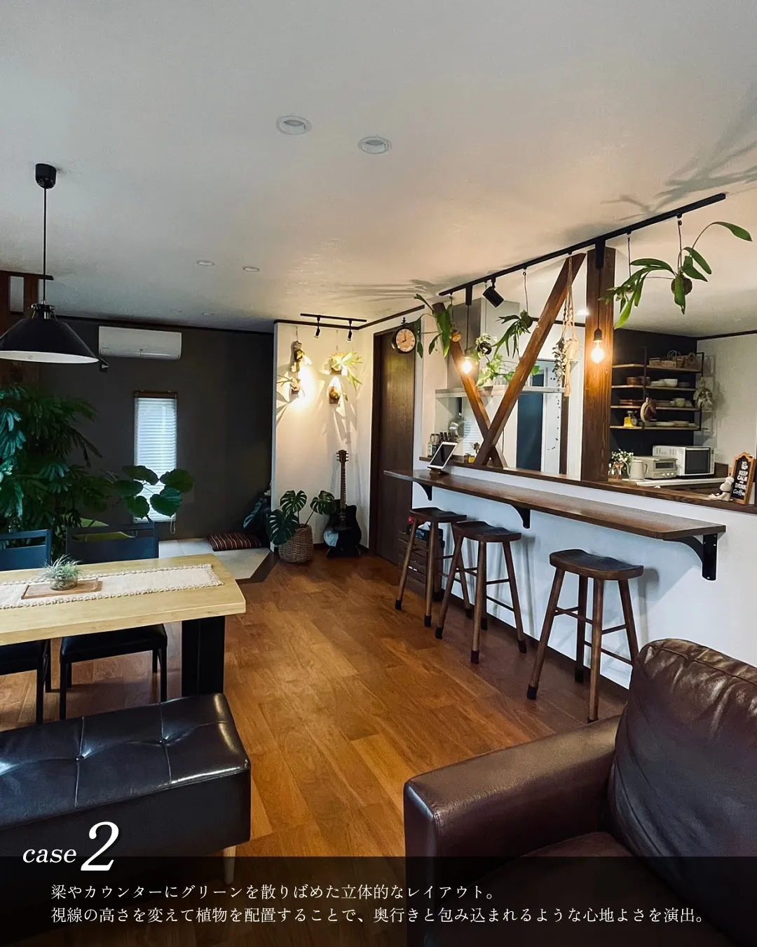 観葉植物レイアウト4選🪴